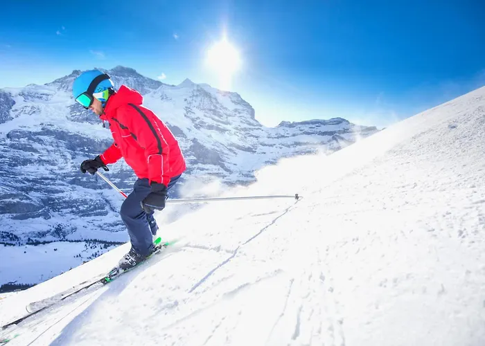 Seewiese Apt- 204 By Interhome * Ostrava