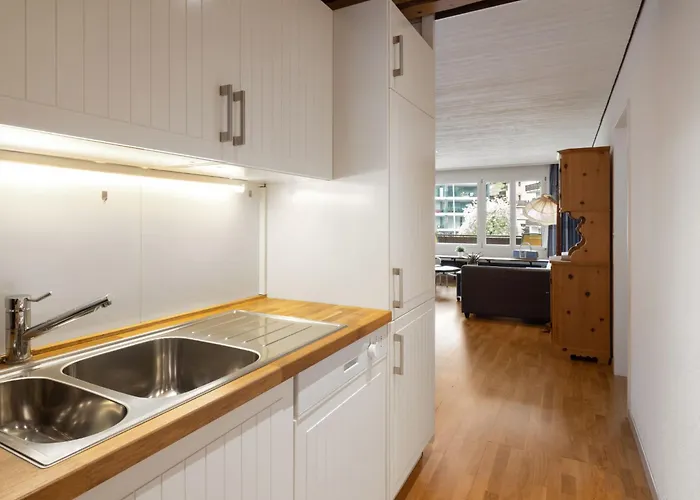 Seewiese Apt- 204 By Interhome Daire *