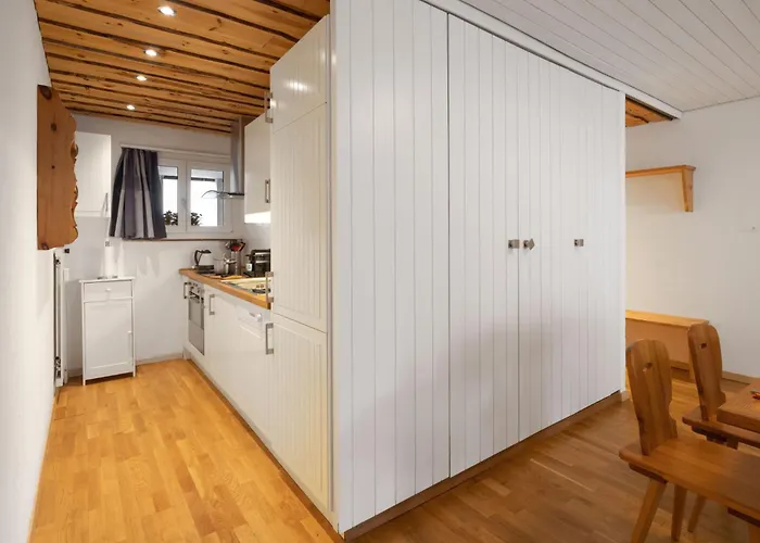 Seewiese Apt- 204 By Interhome Apartment Davos