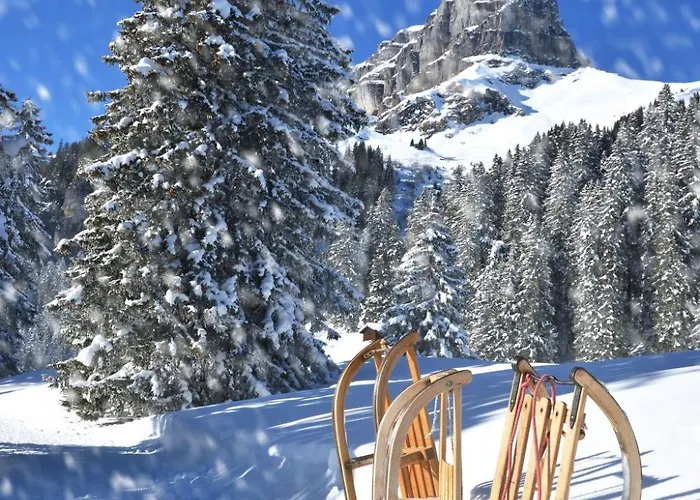 Διαμέρισμα Seewiese Apt- 204 By Interhome